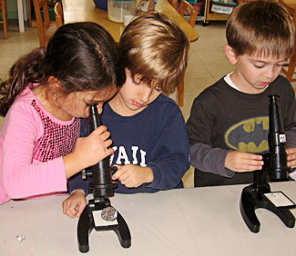 Students look through microscopes